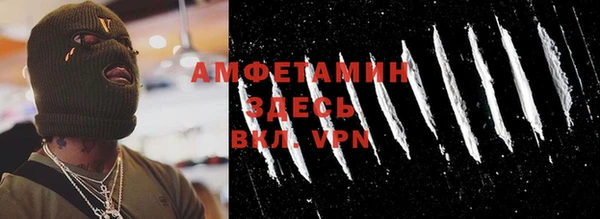 меф Ельня