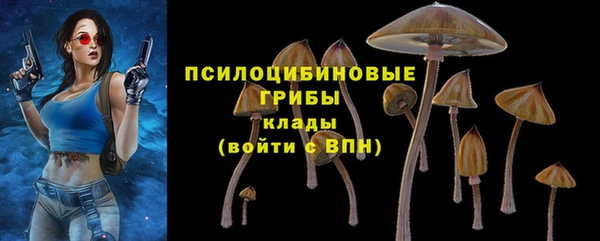 каннабис Лабытнанги