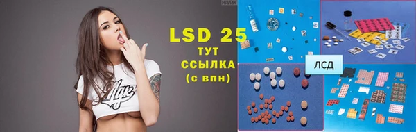 меф Ельня