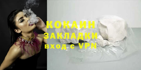 меф Ельня