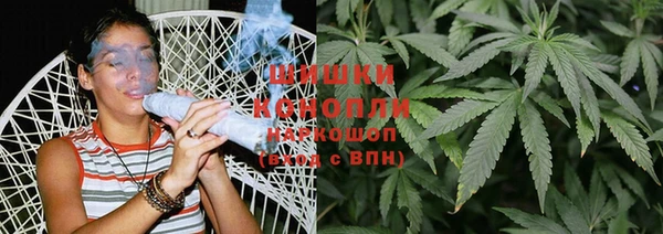 меф Ельня