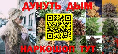 крисы Балаково