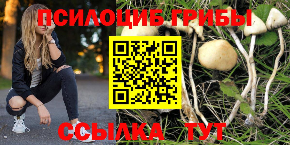 Галлюциногенные грибы Cubensis Урай