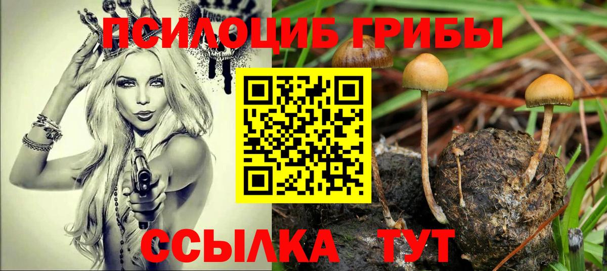 Псилоцибиновые грибы Psilocybine cubensis  Псилоцибиновые грибы GOLDEN TEACHER  Урай 